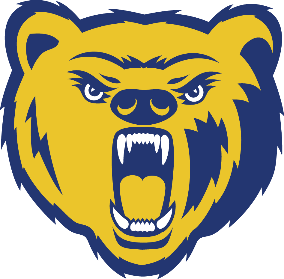 Northern Colorado Bears 2004-2009 Secondary Logo t shirts DIY iron ons
